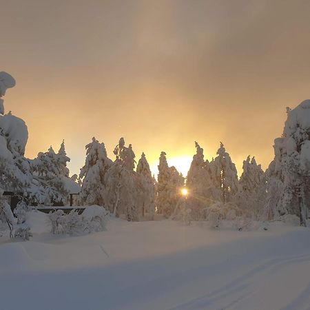 Ro I Sjelen. Hytte Til Leie Pa Skrim. Kongsberg Exteriér fotografie