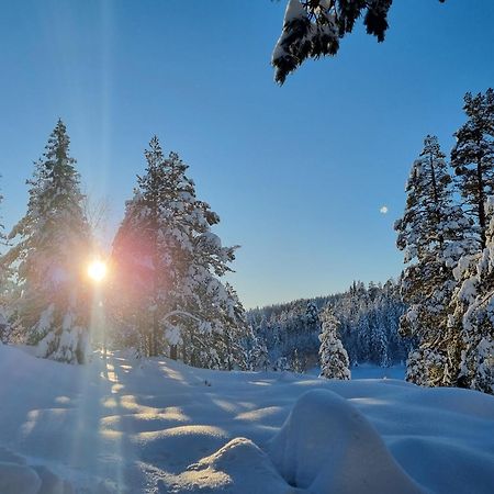 Ro I Sjelen. Hytte Til Leie Pa Skrim. Kongsberg Exteriér fotografie