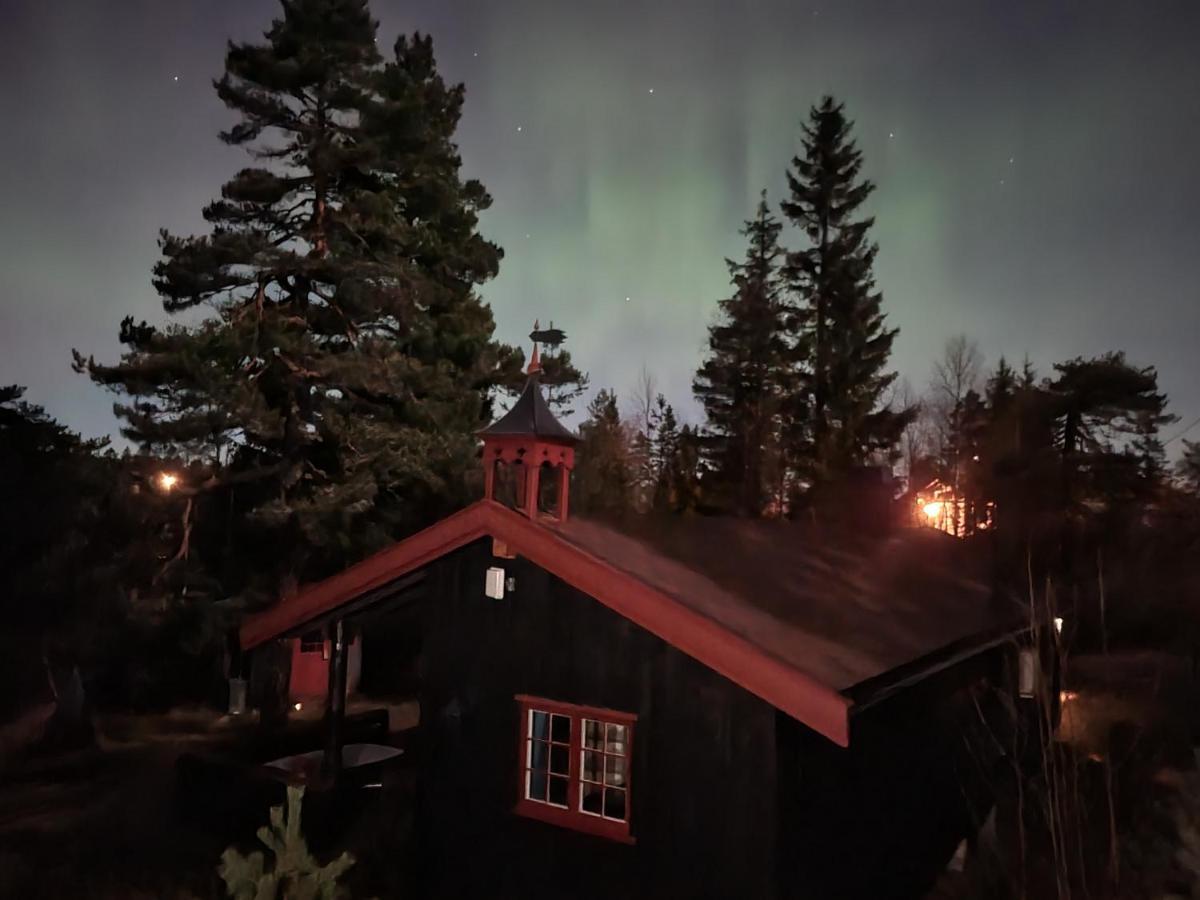 Ro I Sjelen. Hytte Til Leie Pa Skrim. Kongsberg Exteriér fotografie