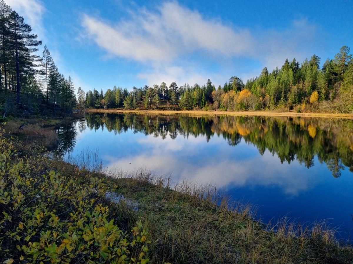 Ro I Sjelen. Hytte Til Leie Pa Skrim. Kongsberg Exteriér fotografie