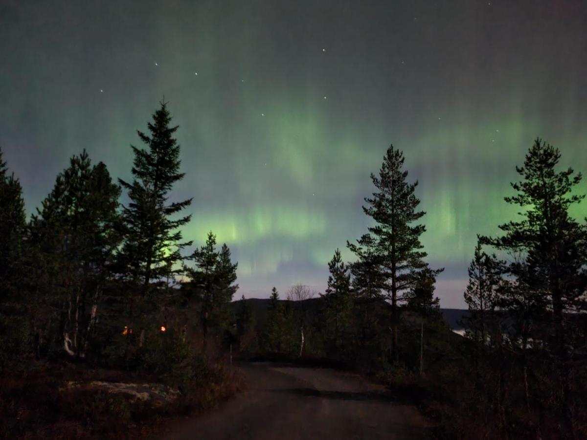 Ro I Sjelen. Hytte Til Leie Pa Skrim. Kongsberg Exteriér fotografie