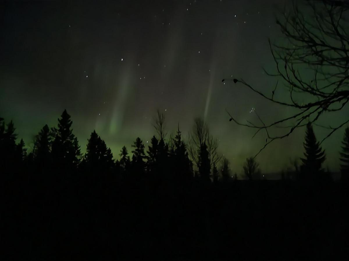 Ro I Sjelen. Hytte Til Leie Pa Skrim. Kongsberg Exteriér fotografie
