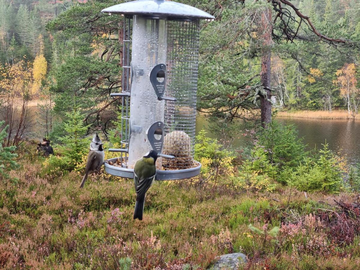Ro I Sjelen. Hytte Til Leie Pa Skrim. Kongsberg Exteriér fotografie