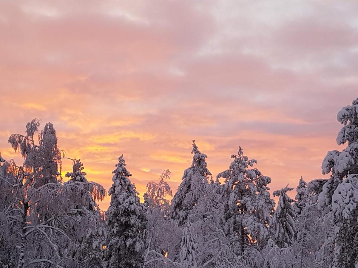 Ro I Sjelen. Hytte Til Leie Pa Skrim. Kongsberg Exteriér fotografie