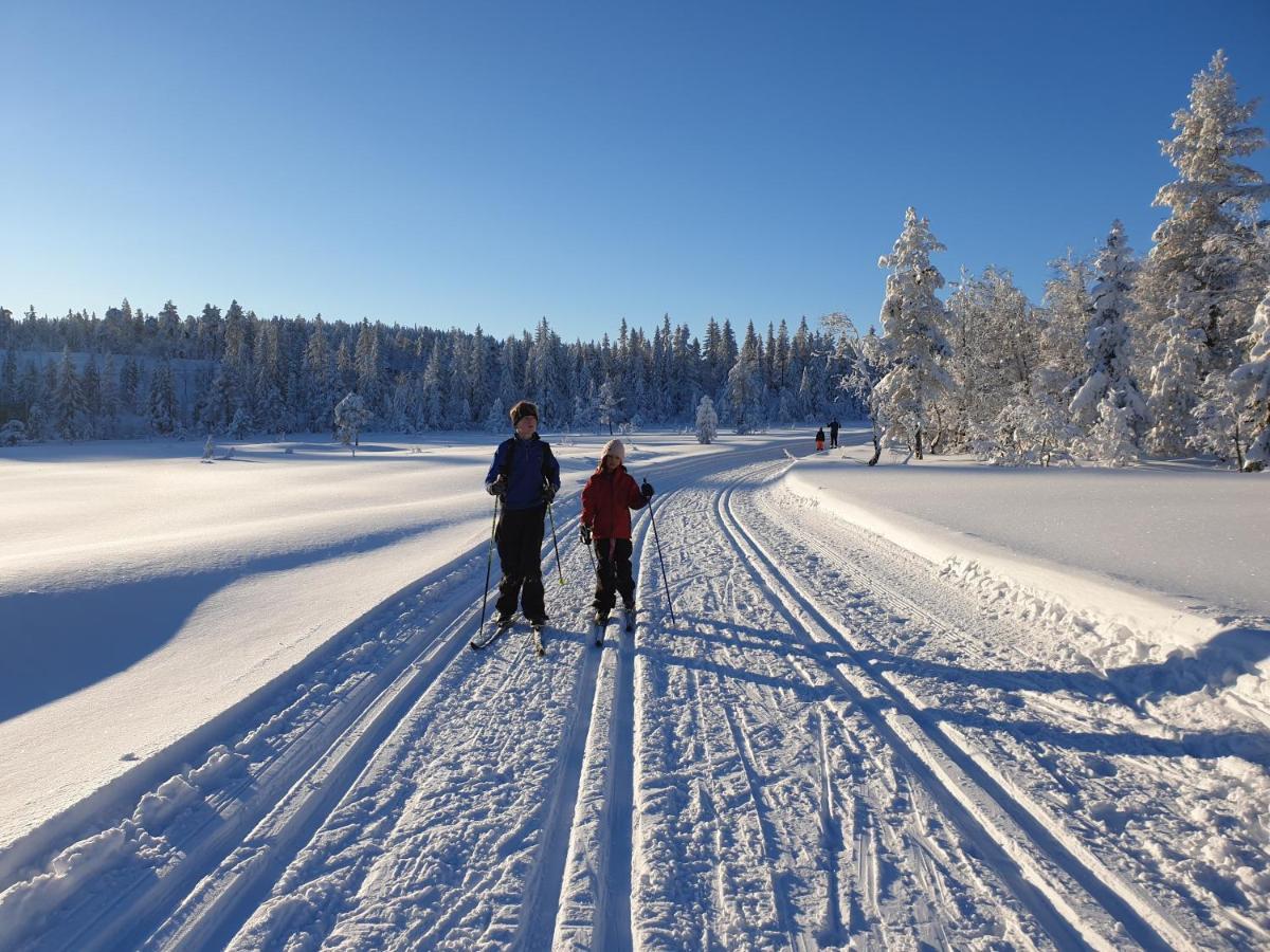 Ro I Sjelen. Hytte Til Leie Pa Skrim. Kongsberg Exteriér fotografie