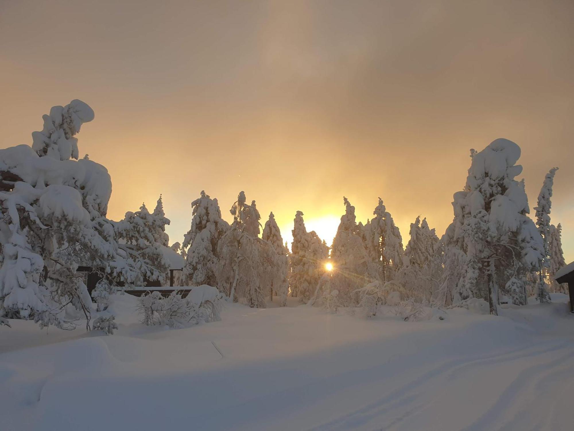 Ro I Sjelen. Hytte Til Leie Pa Skrim. Kongsberg Exteriér fotografie