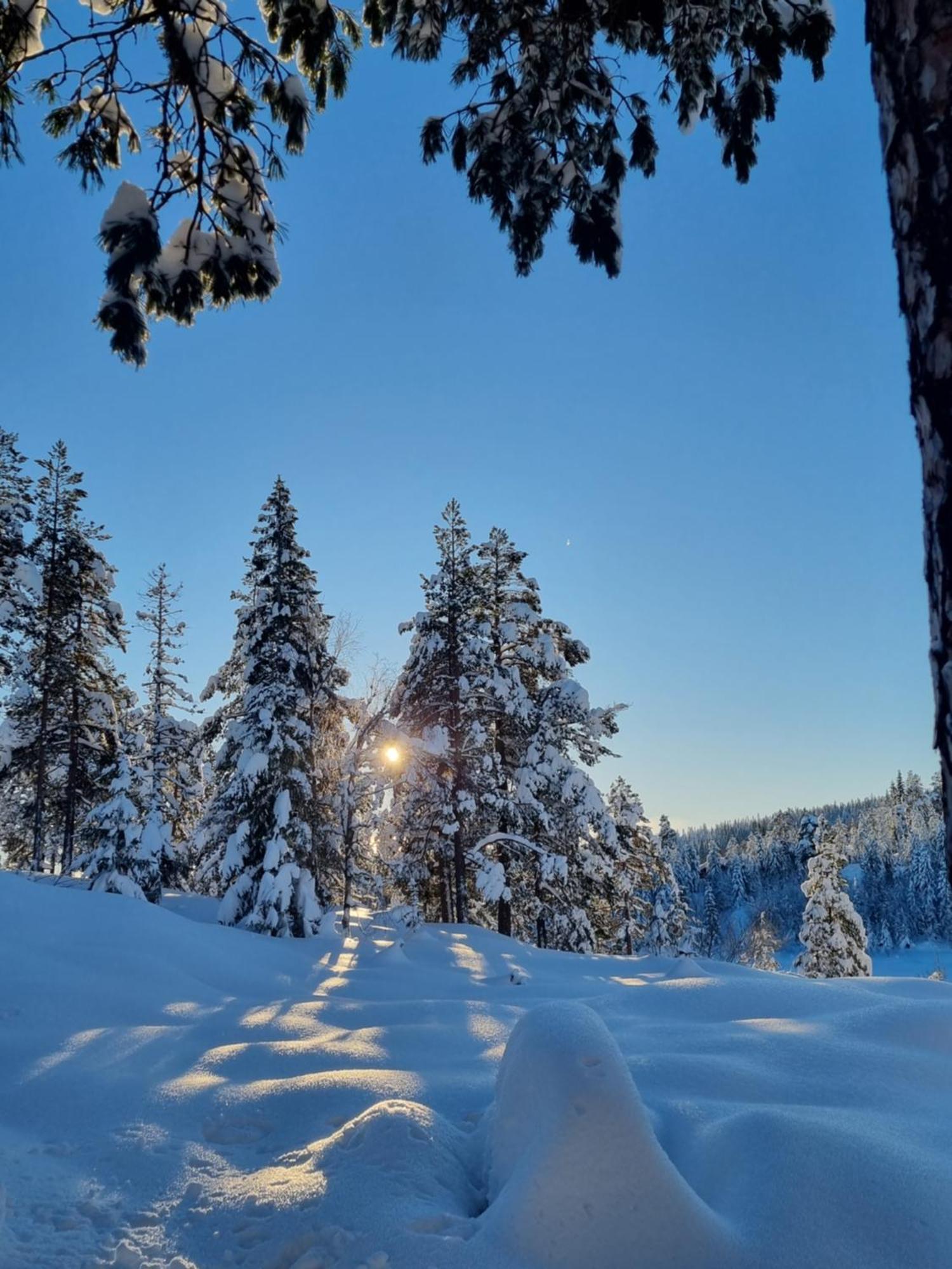 Ro I Sjelen. Hytte Til Leie Pa Skrim. Kongsberg Exteriér fotografie