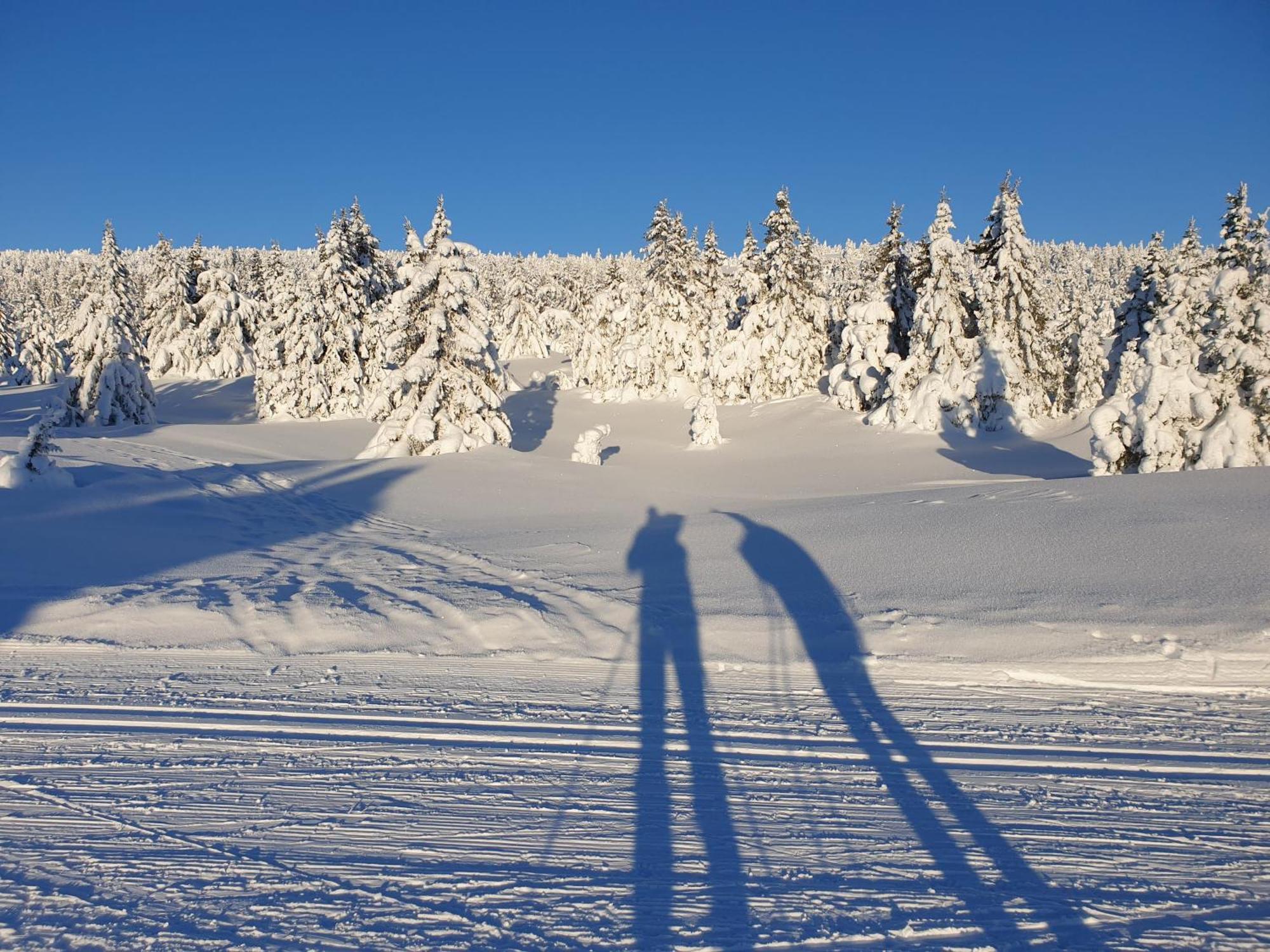 Ro I Sjelen. Hytte Til Leie Pa Skrim. Kongsberg Exteriér fotografie