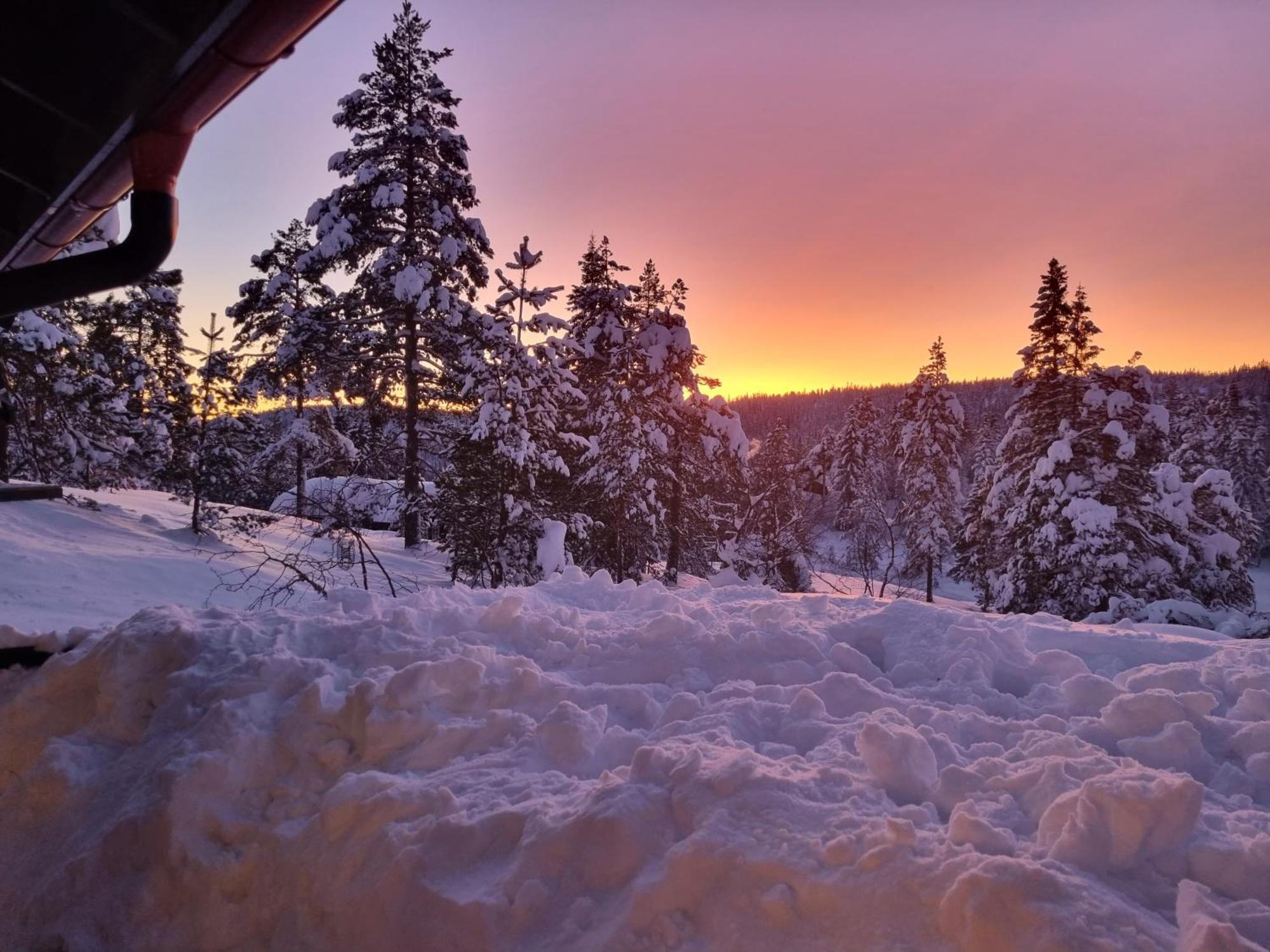 Ro I Sjelen. Hytte Til Leie Pa Skrim. Kongsberg Exteriér fotografie