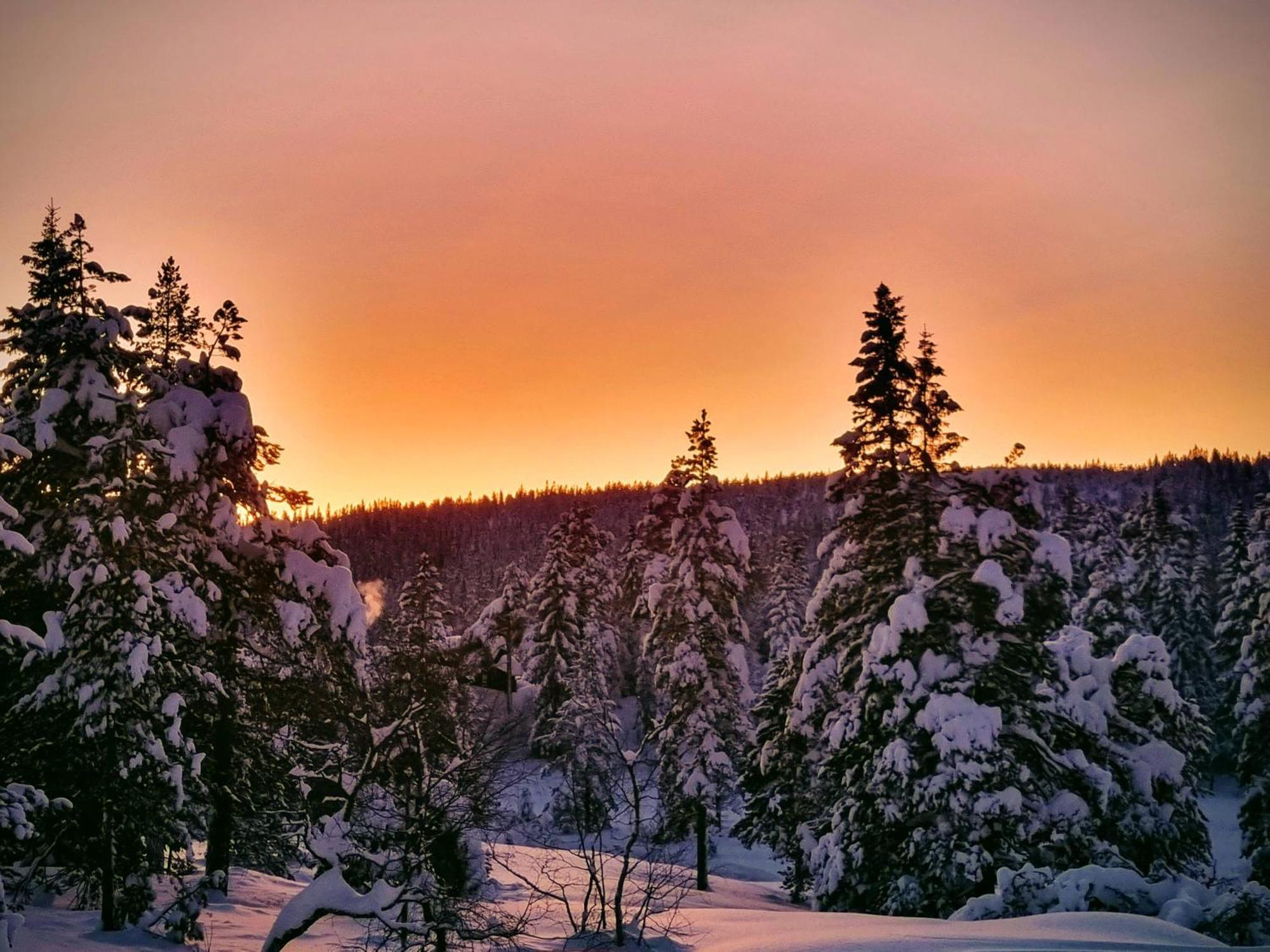 Ro I Sjelen. Hytte Til Leie Pa Skrim. Kongsberg Exteriér fotografie