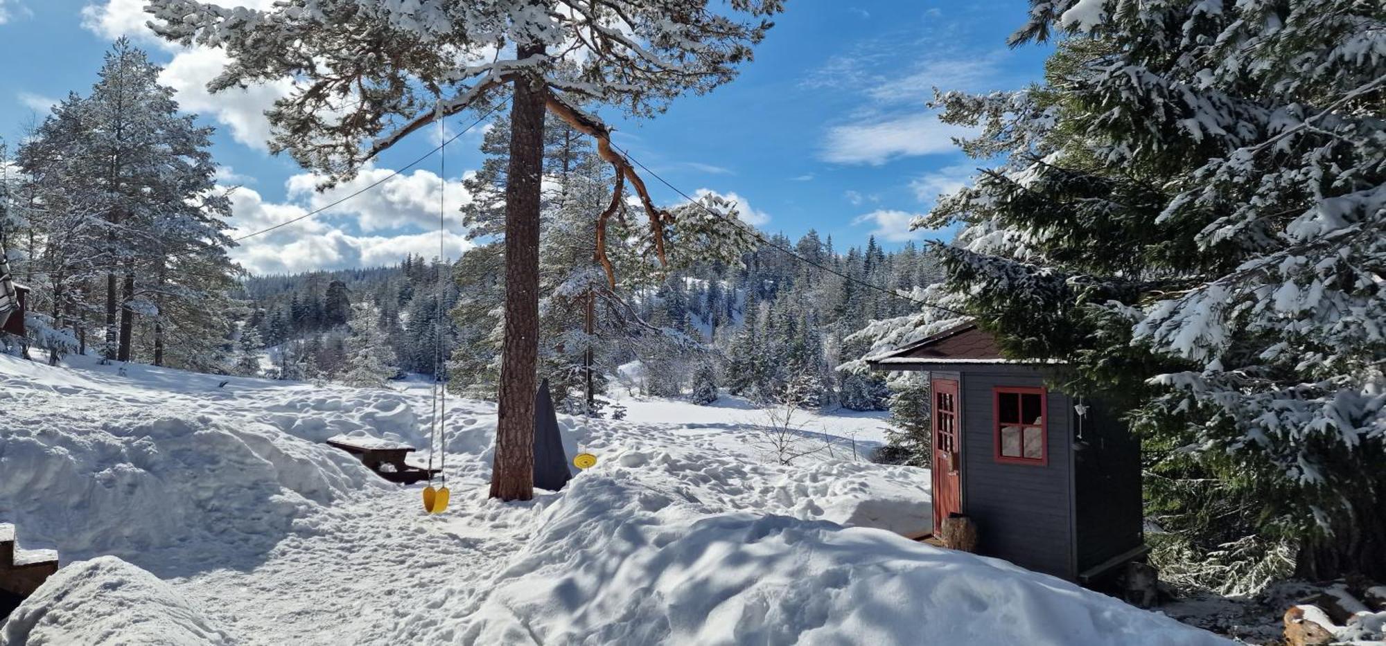 Ro I Sjelen. Hytte Til Leie Pa Skrim. Kongsberg Exteriér fotografie