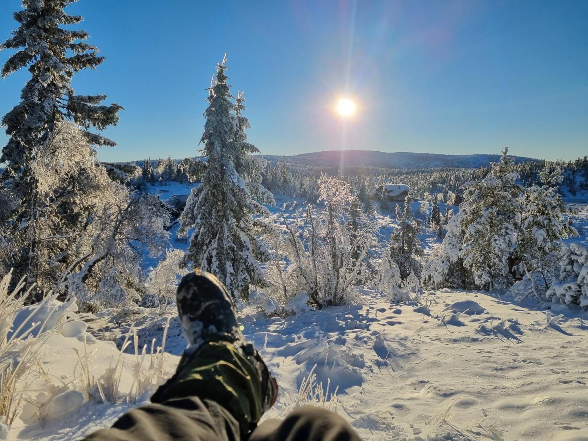 Ro I Sjelen. Hytte Til Leie Pa Skrim. Kongsberg Exteriér fotografie