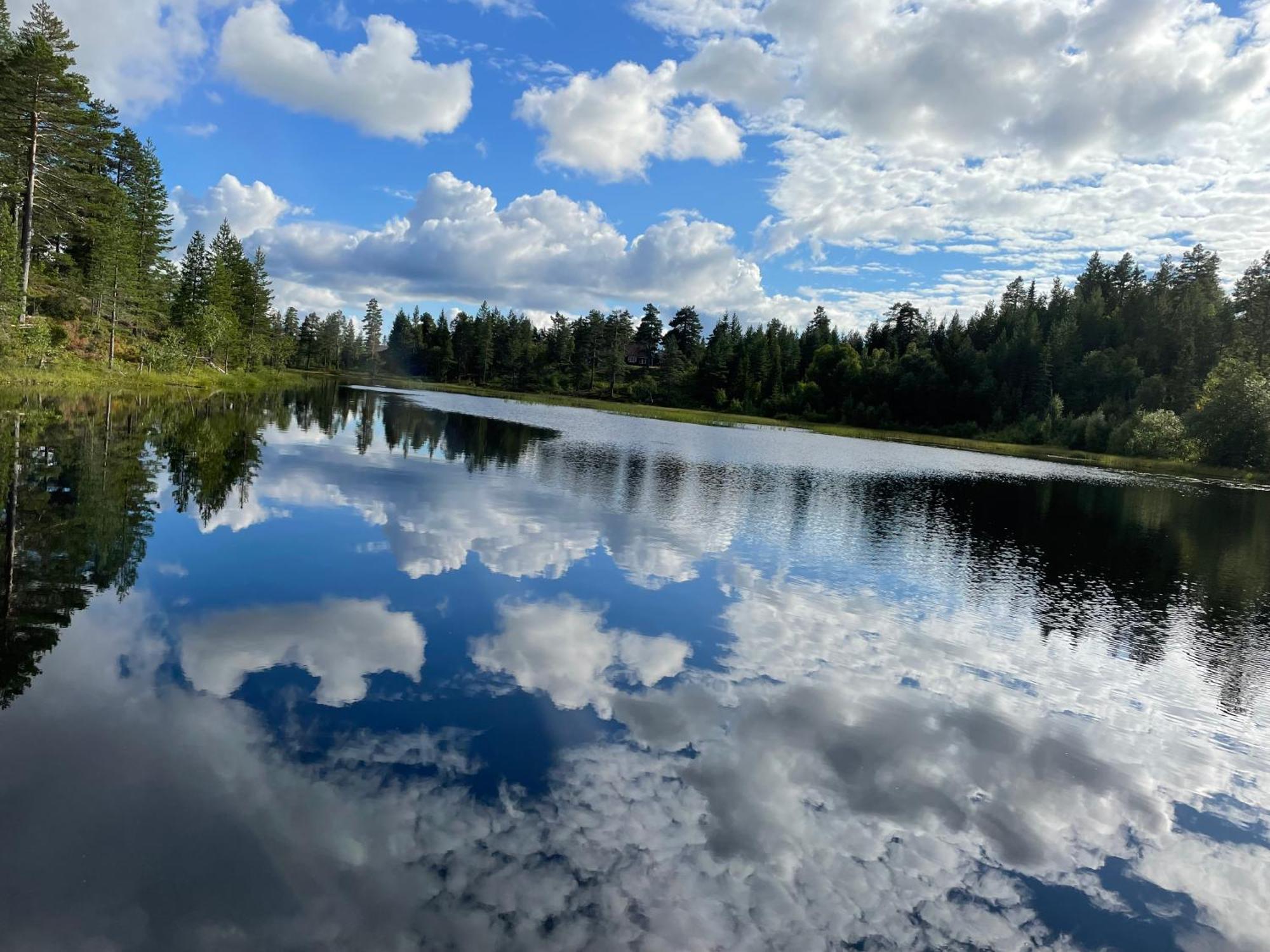 Ro I Sjelen. Hytte Til Leie Pa Skrim. Kongsberg Exteriér fotografie