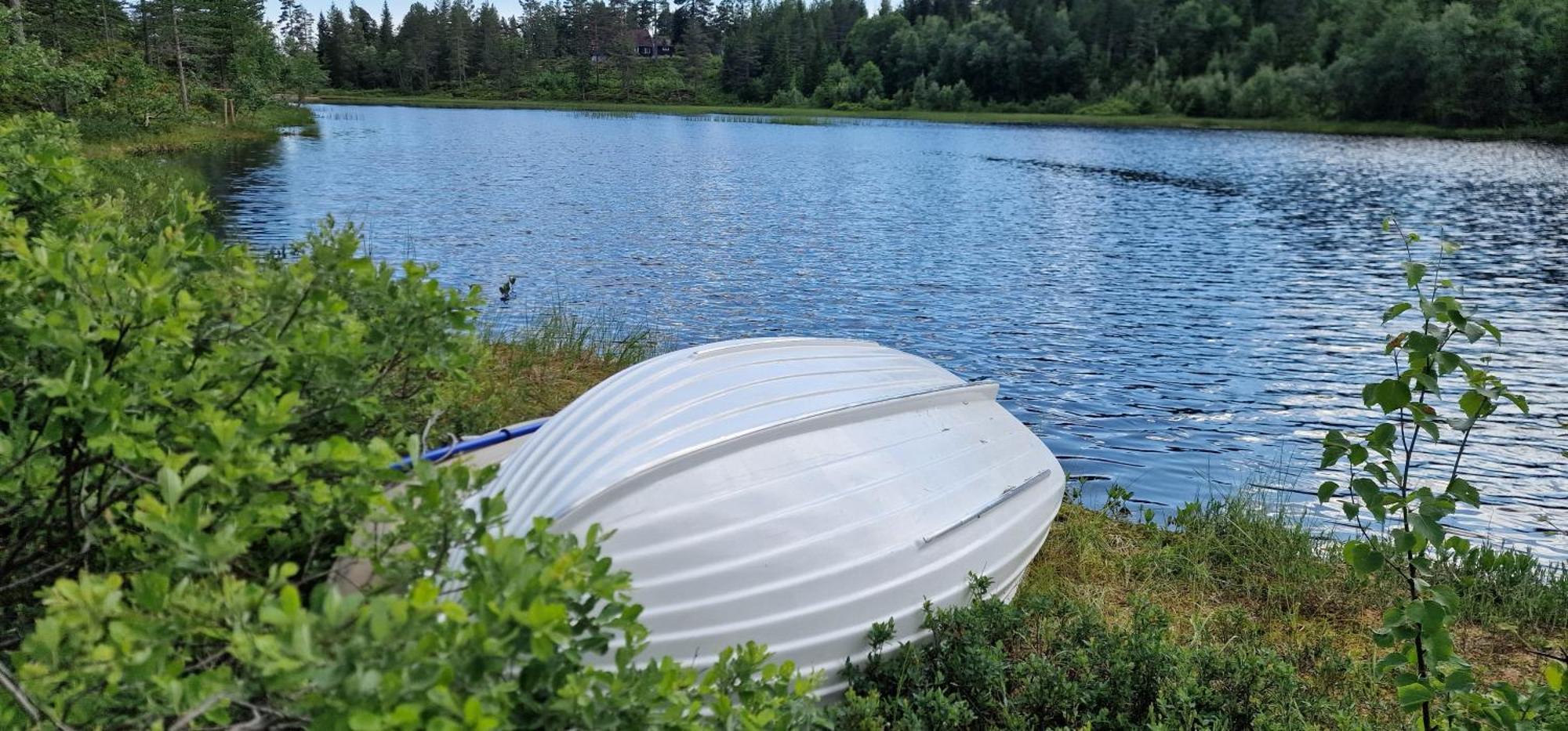 Ro I Sjelen. Hytte Til Leie Pa Skrim. Kongsberg Exteriér fotografie