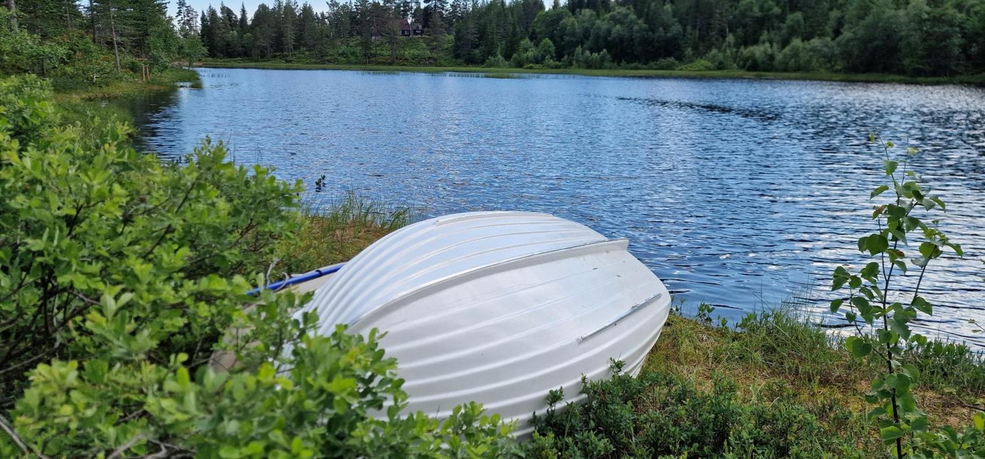 Ro I Sjelen. Hytte Til Leie Pa Skrim. Kongsberg Exteriér fotografie